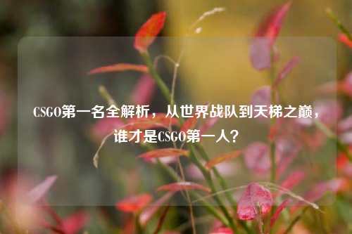CSGO第一名全解析,从世界战队到天梯之巅,谁才是CSGO第一人?