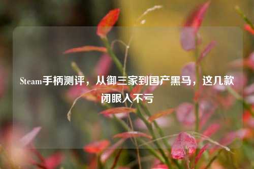 Steam手柄测评，从御三家到国产黑马，这几款闭眼入不亏