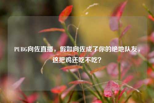 PUBG向佐直播，假如向佐成了你的绝地队友，这把鸡还吃不吃？